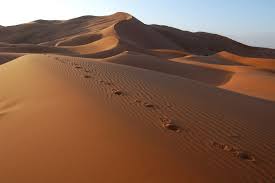 Desierto